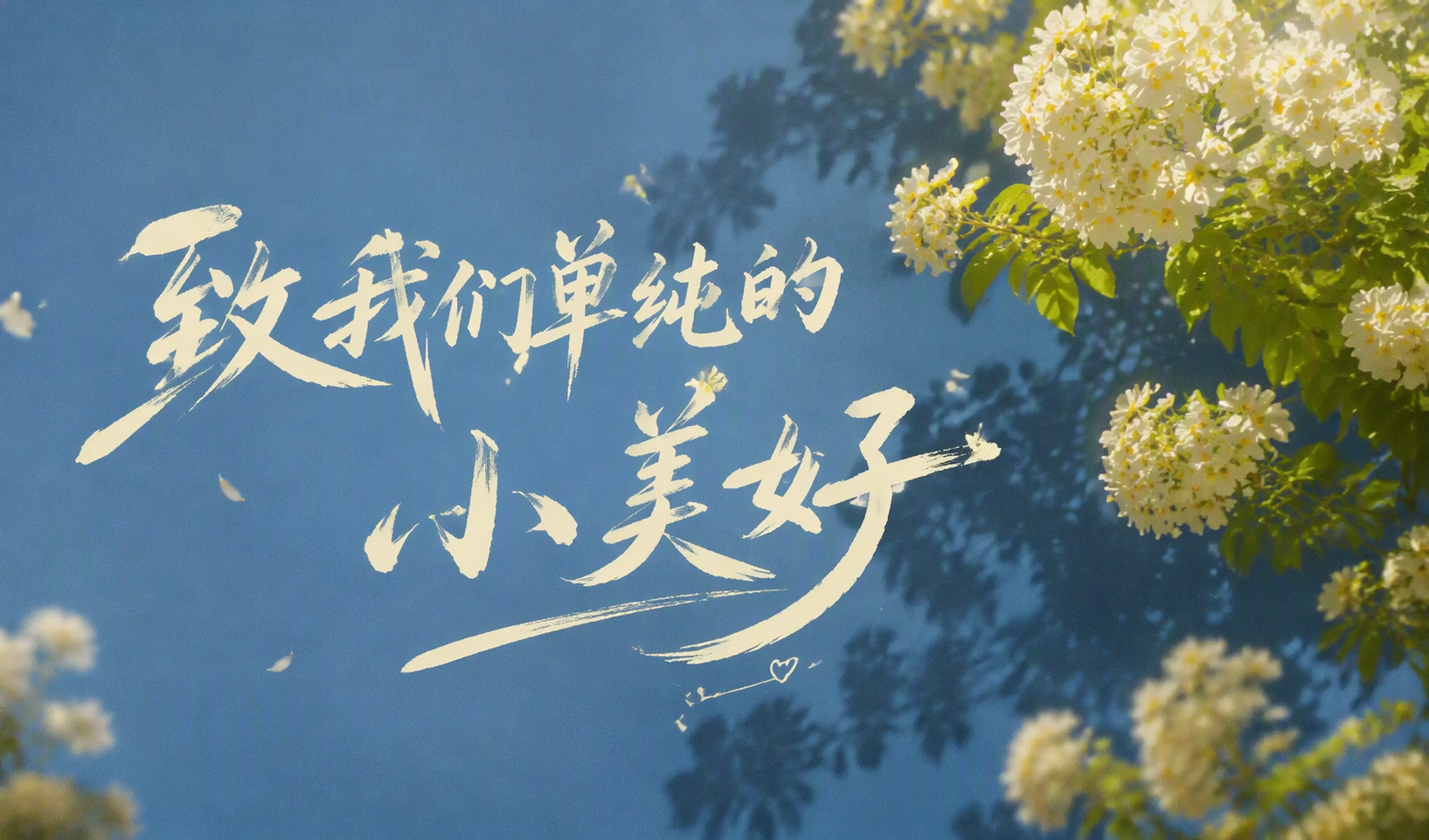 致我们单纯的小美好