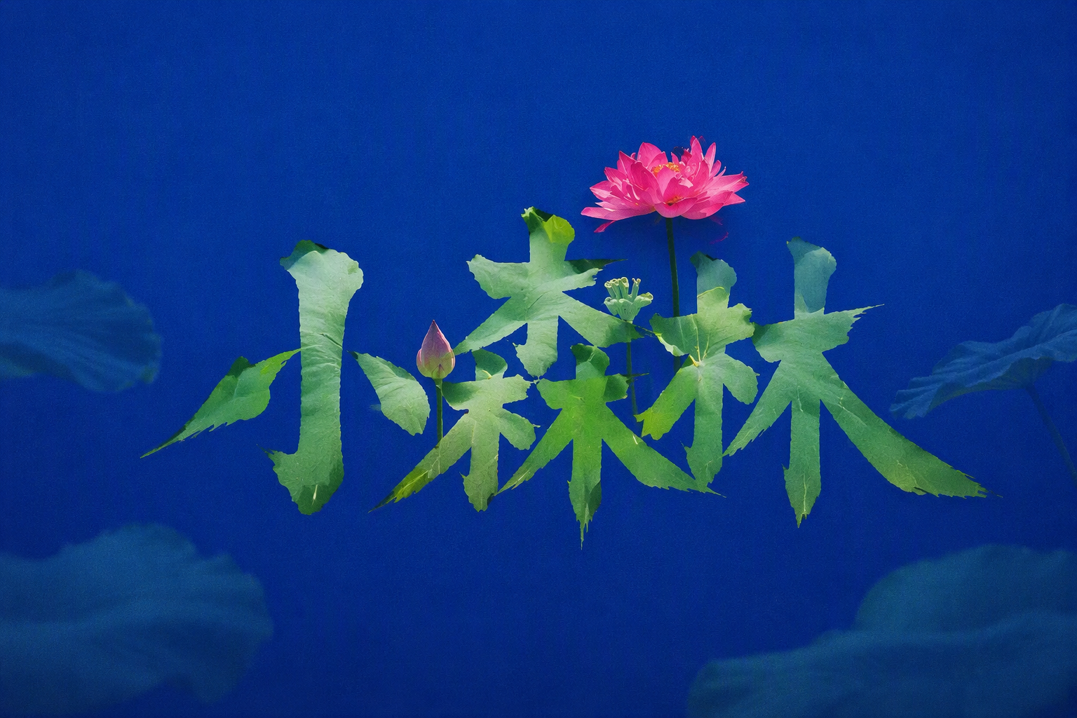小森林