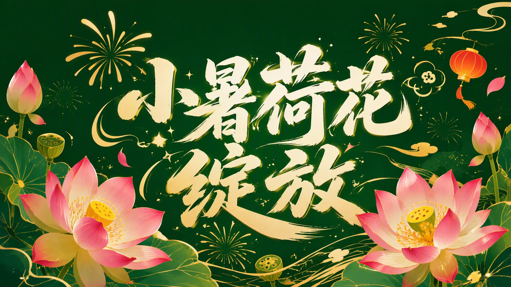 小暑荷花绽放