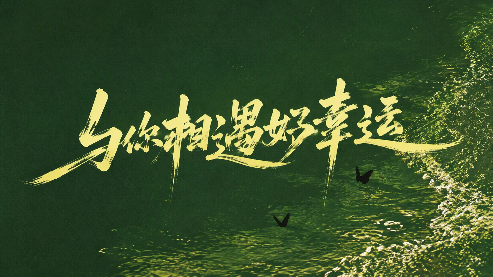 与你相遇好幸运