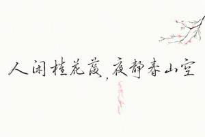 人闲桂花落夜静春山空