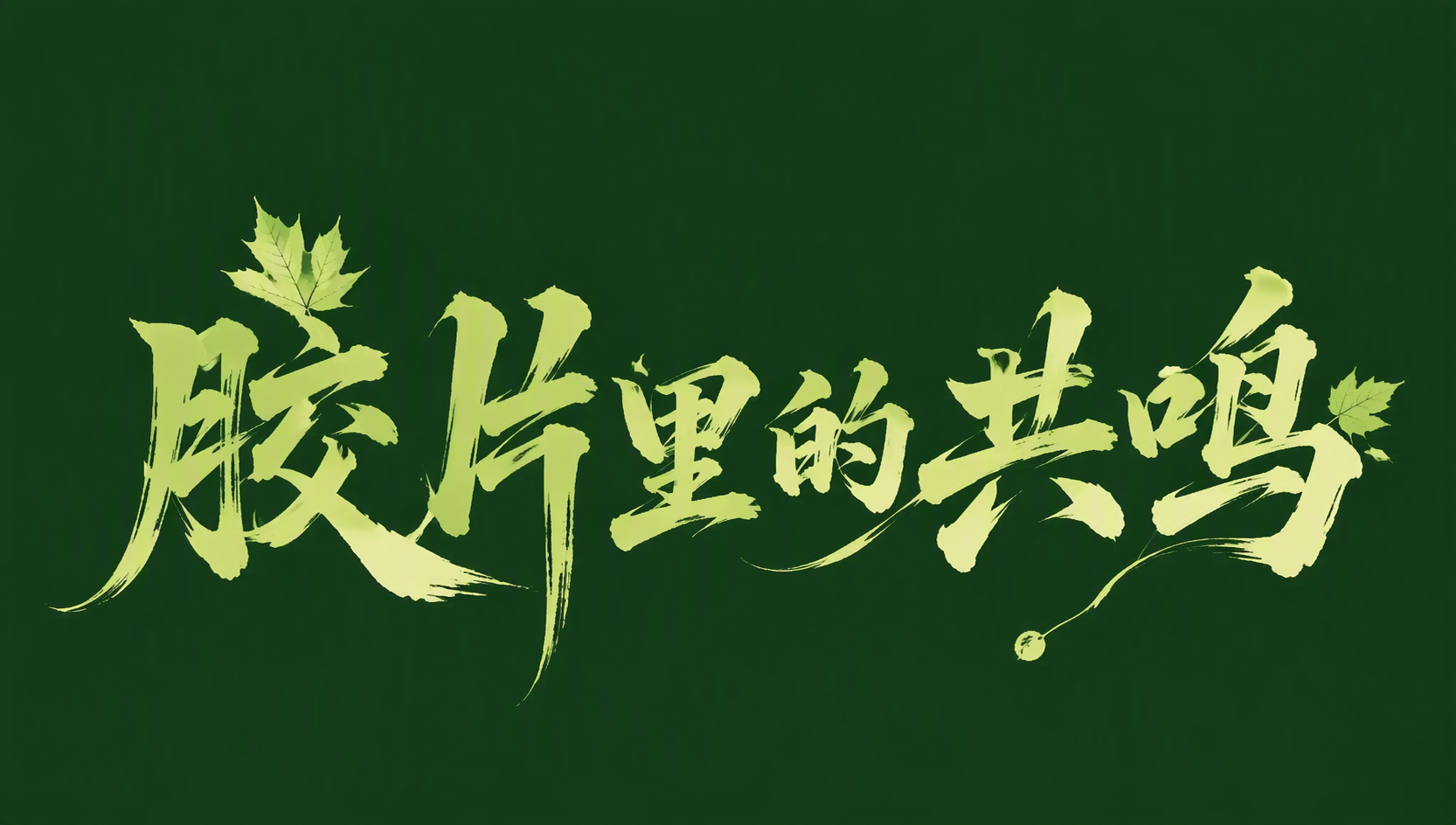 胶片里的共鸣