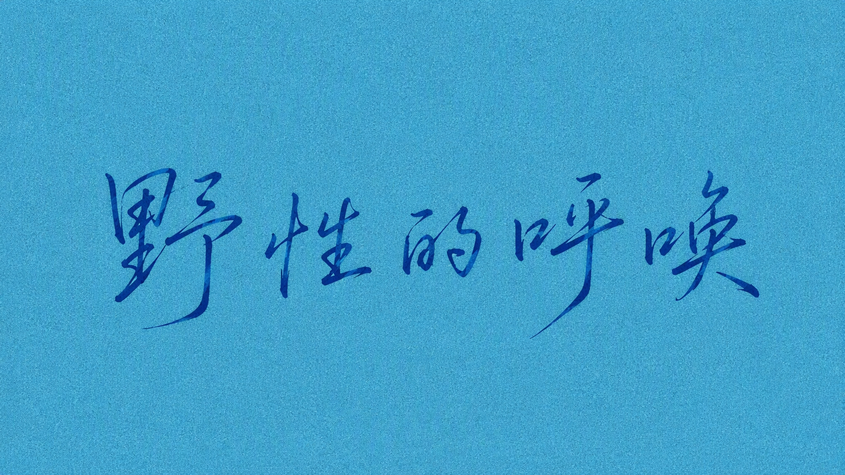 野性的呼唤