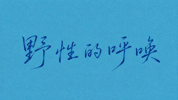 野性的呼唤