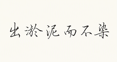 出淤泥而不染