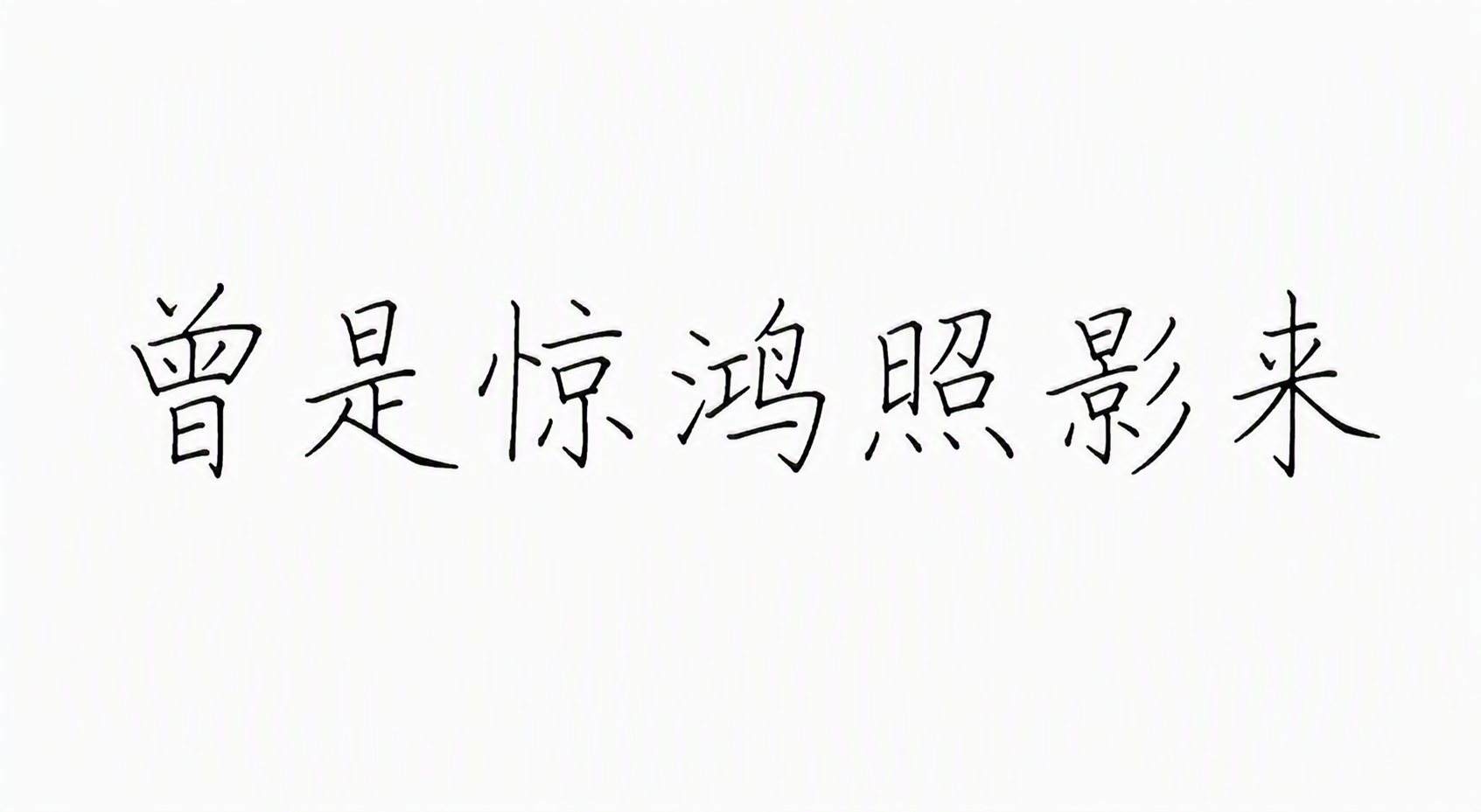 曾是惊鸿照影来