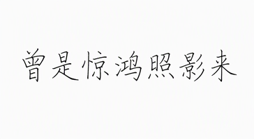 曾是惊鸿照影来