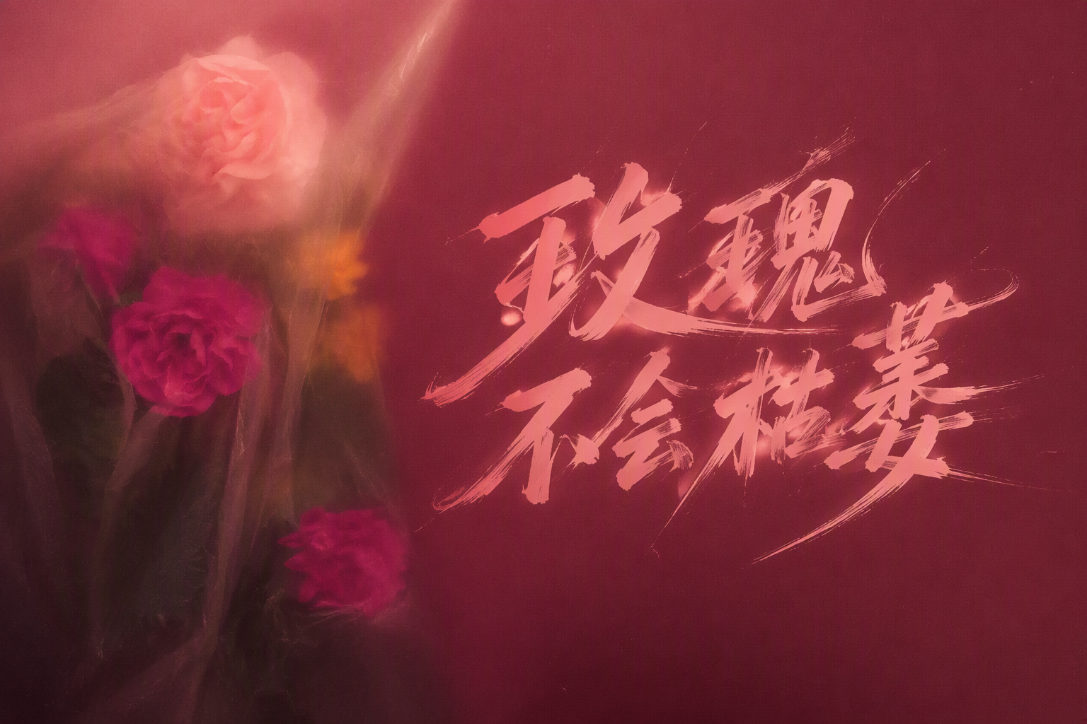 玫瑰不会枯萎