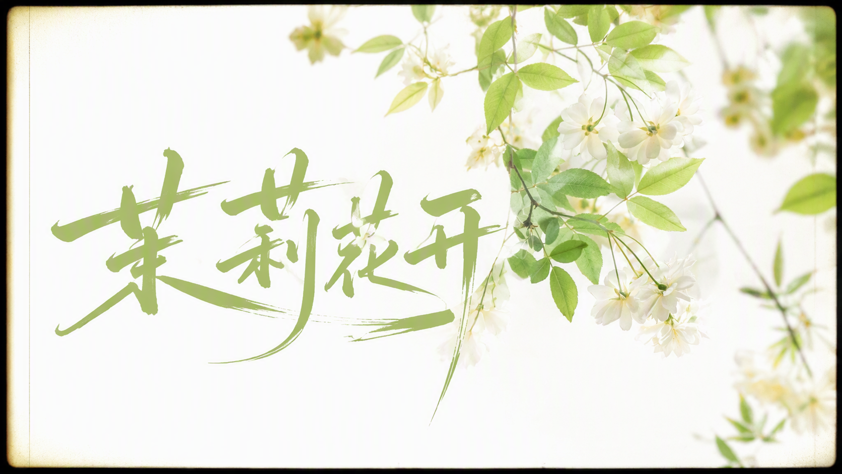 茉莉花开