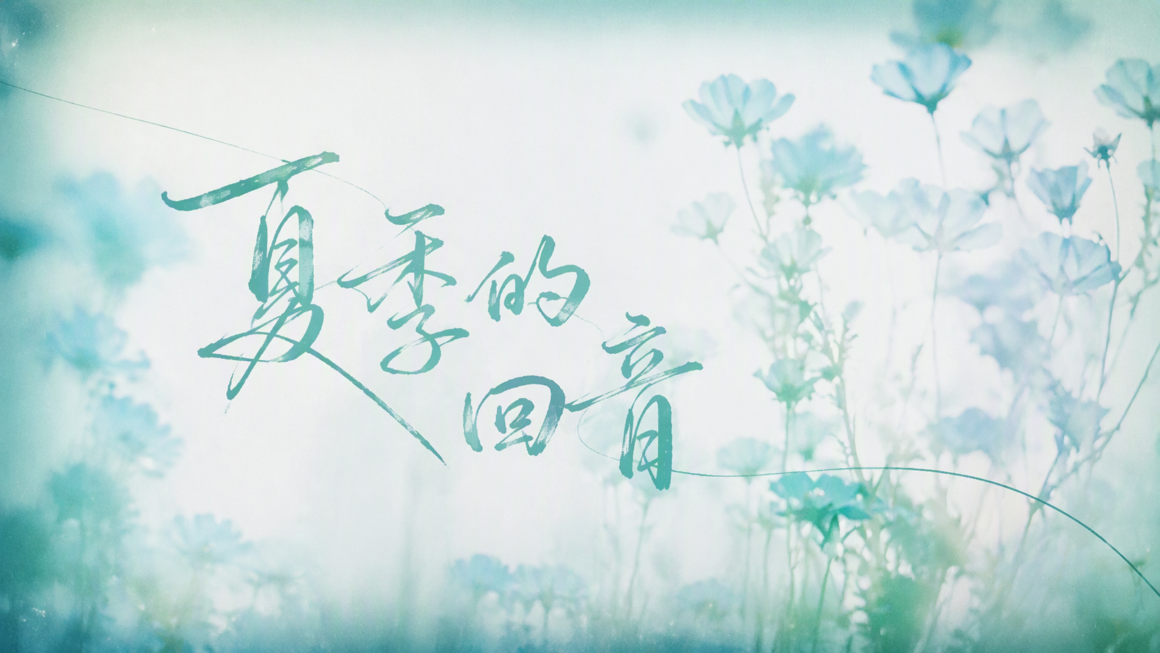 夏季的回音