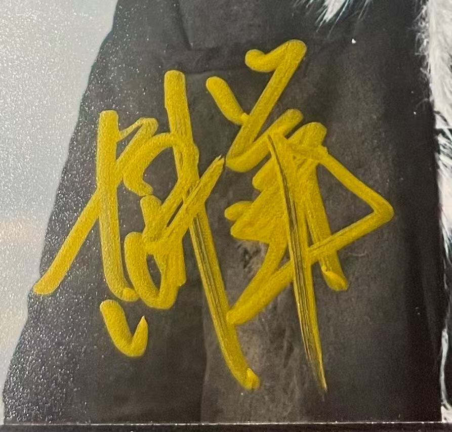 胡军签名