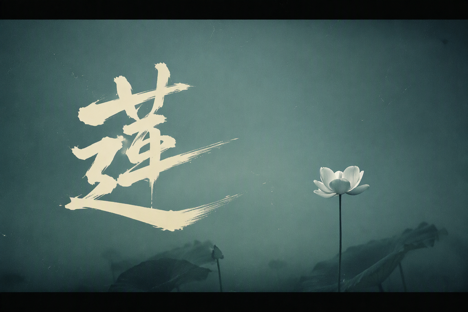 莲