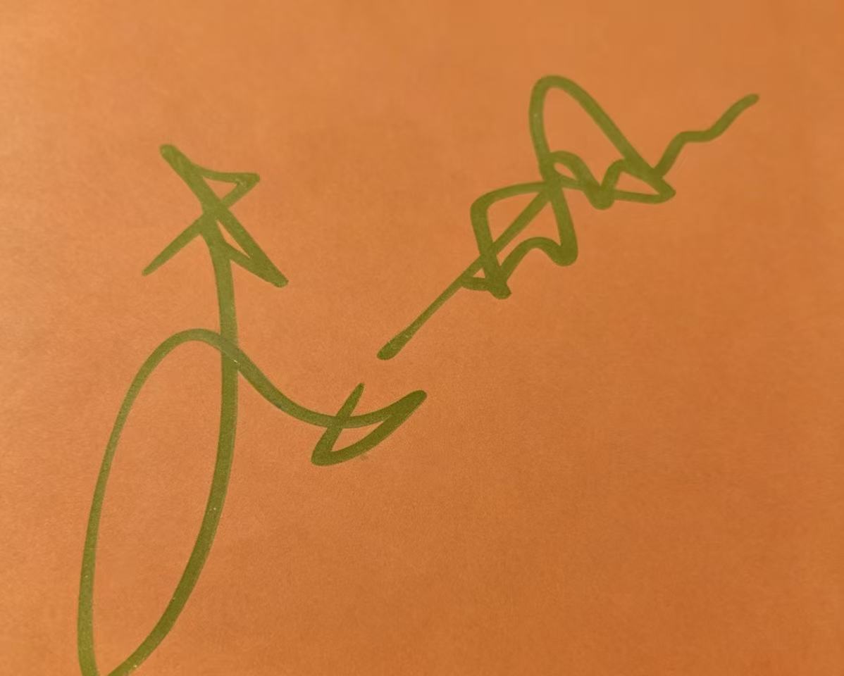 李一桐签名图片