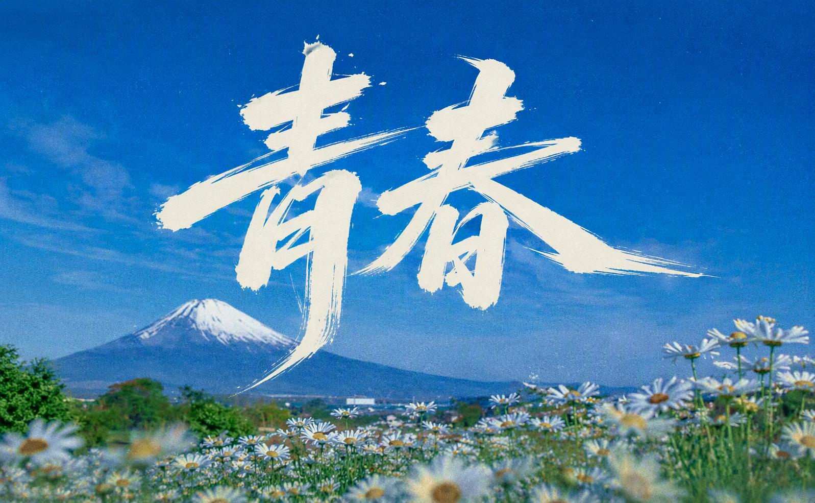 青春
