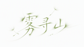 雾寻山