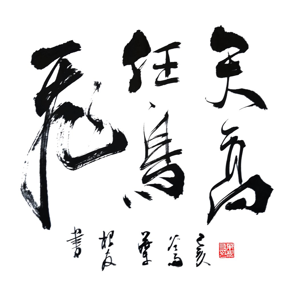天高任鸟飞书法作品图