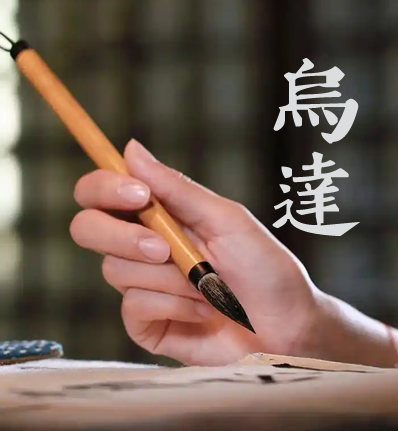 乌达