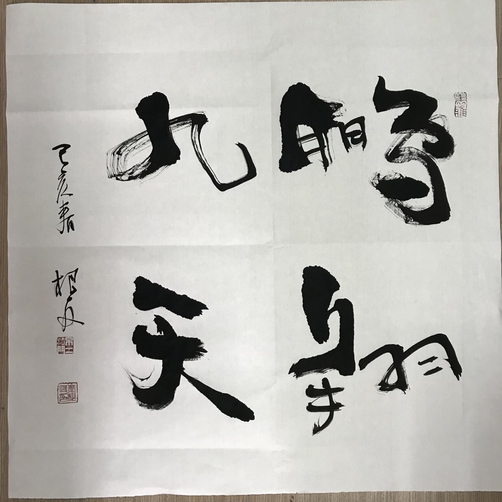 鹏翔九天原创书法作品