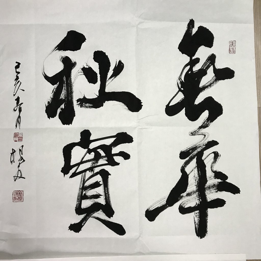 春华秋实原创书法作品