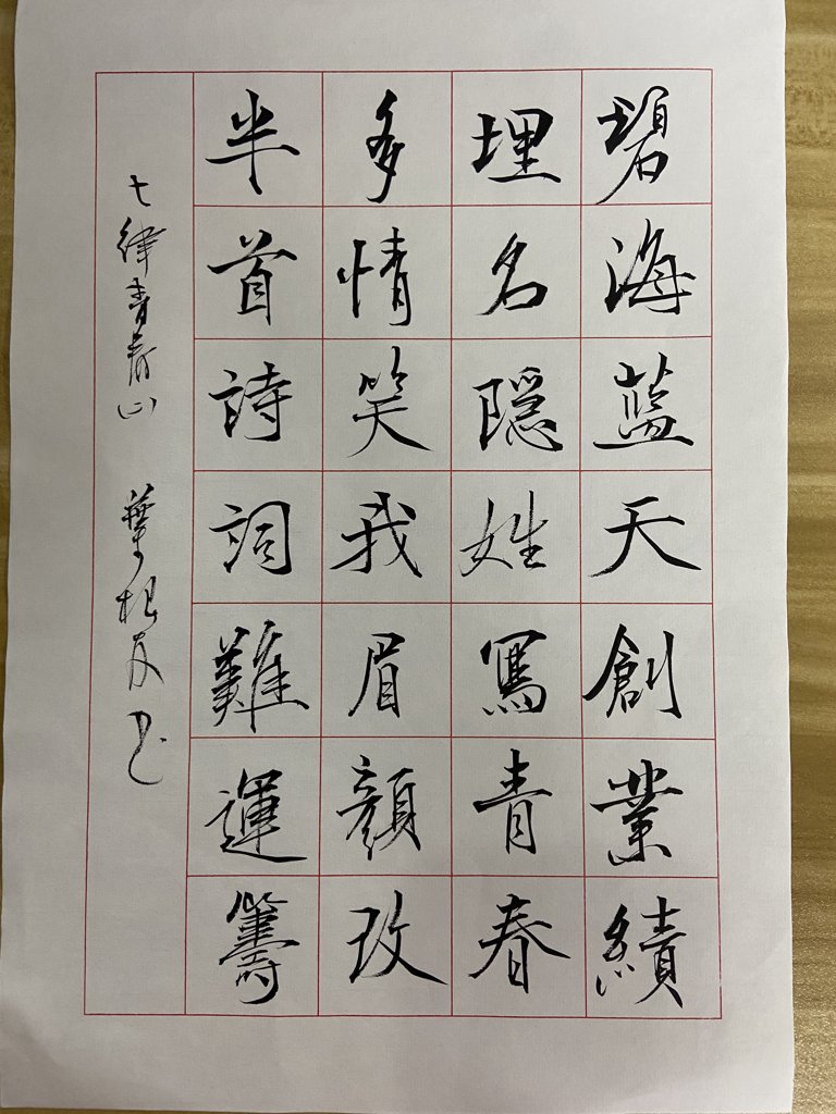 笔墨写春毛笔书法作品