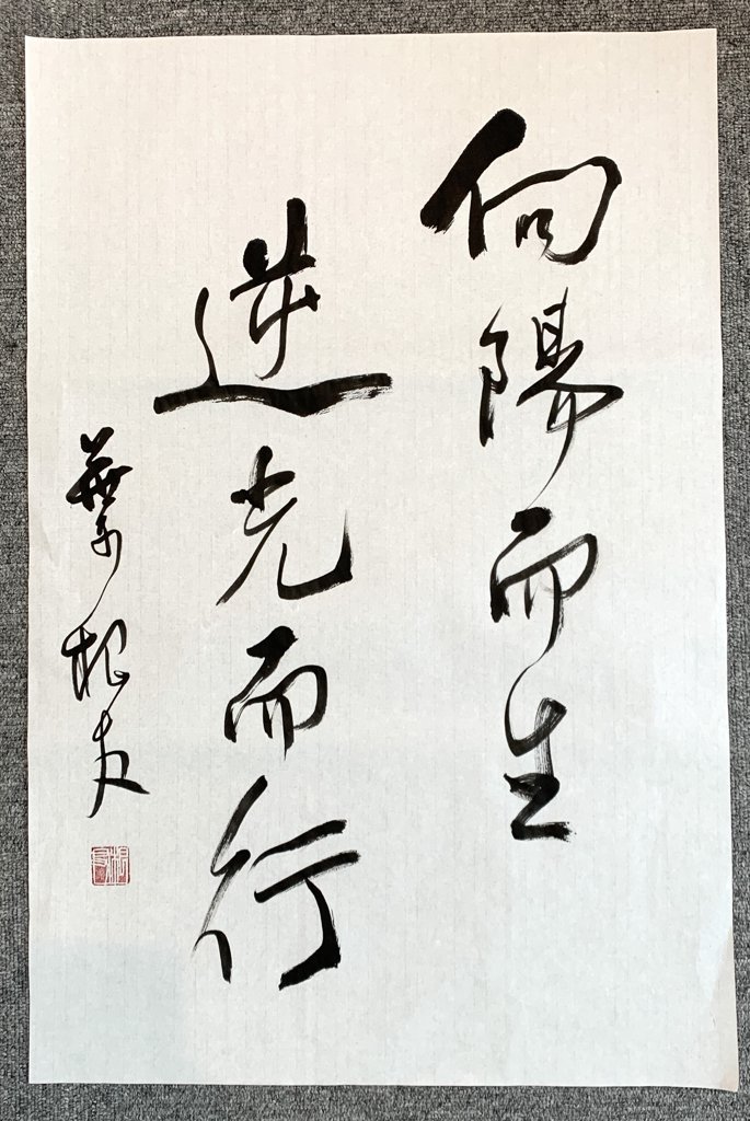 向阳而生逆光而行行书法作品