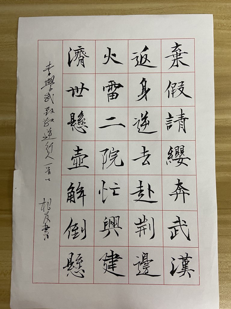 悬壶济世毛笔书法作品