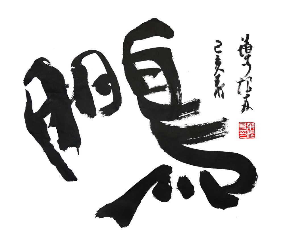 鹏字手写艺术书法正版图