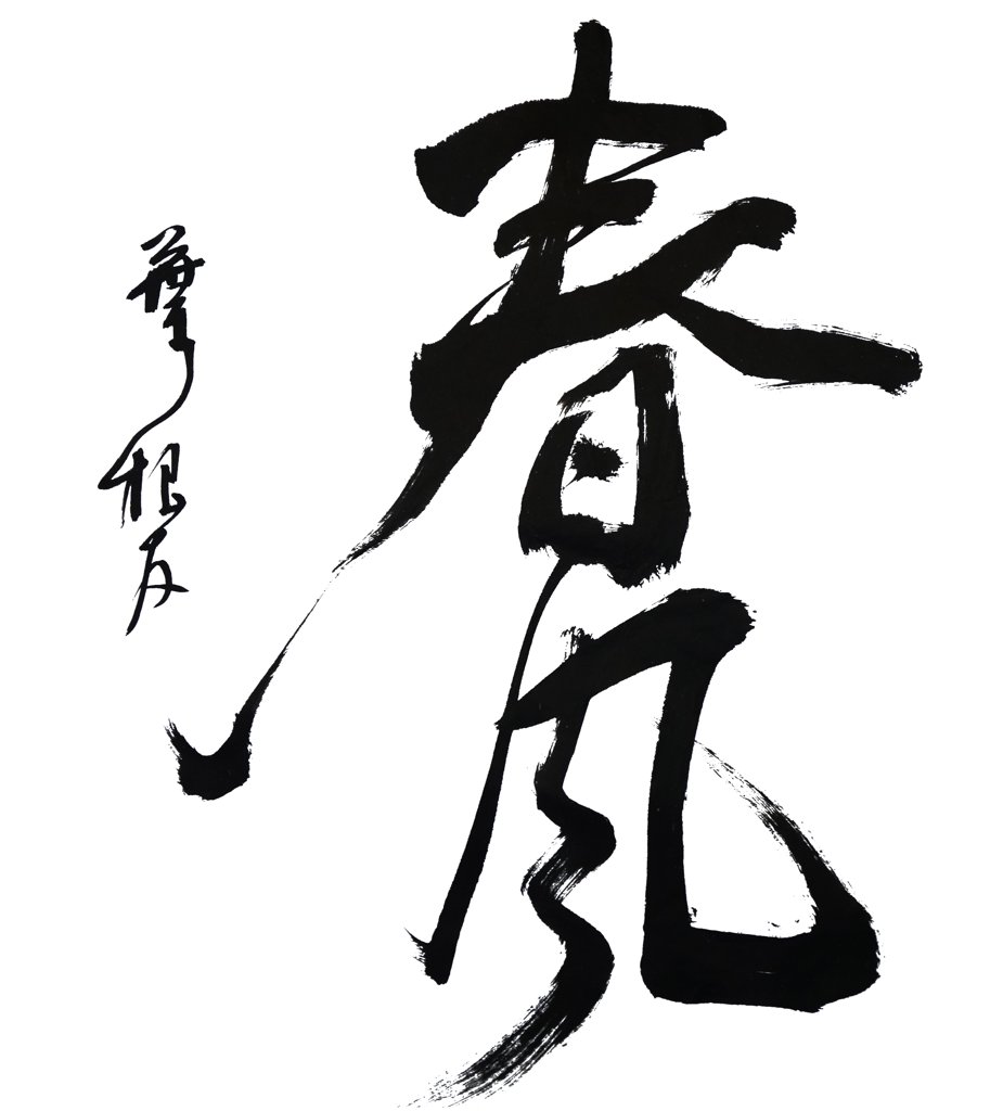 春风书法作品图