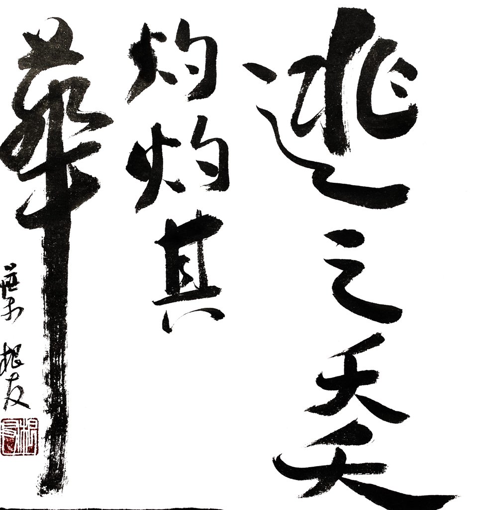 逃之夭夭灼灼其华书法作品