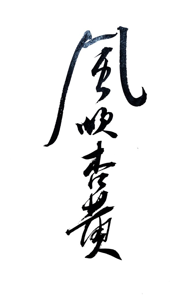 风吹杏黄手写书法作品