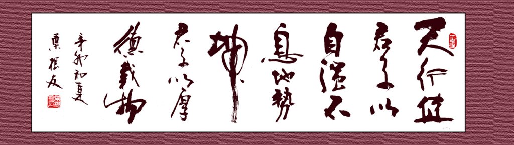 天行健君子以自强不息原创书法作品