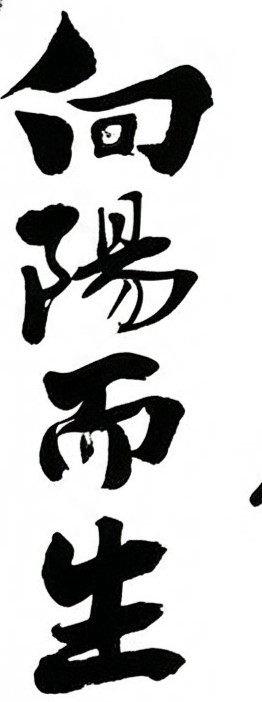 向阳而生毛笔书法作品