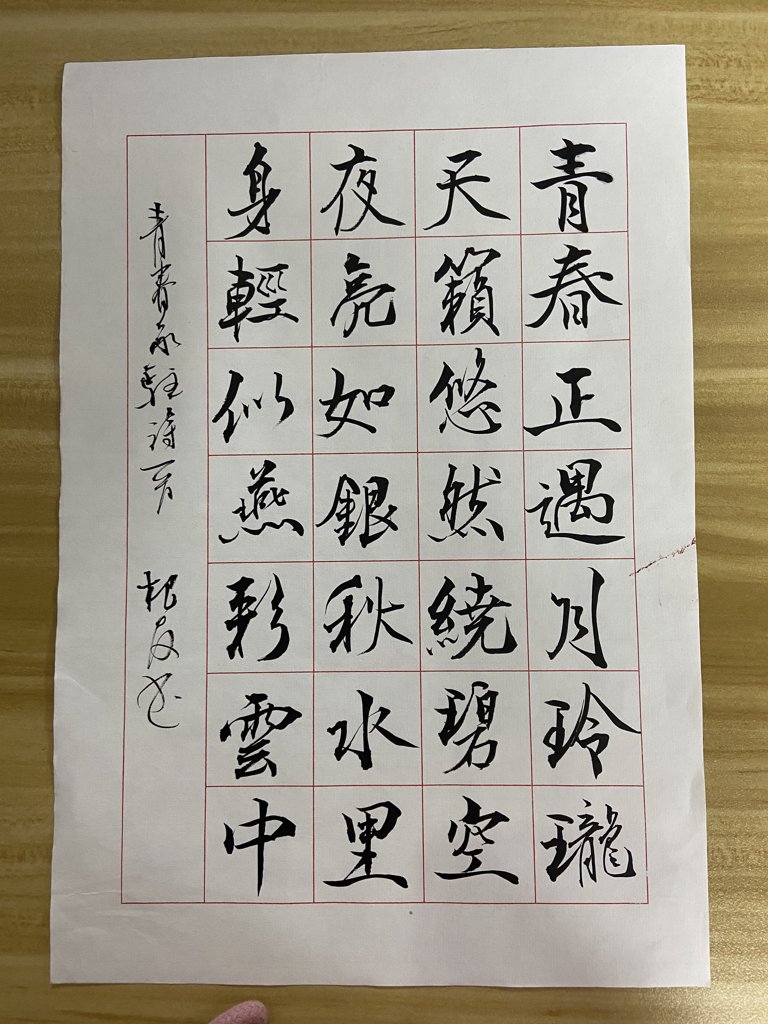 月伴青春毛笔书法作品