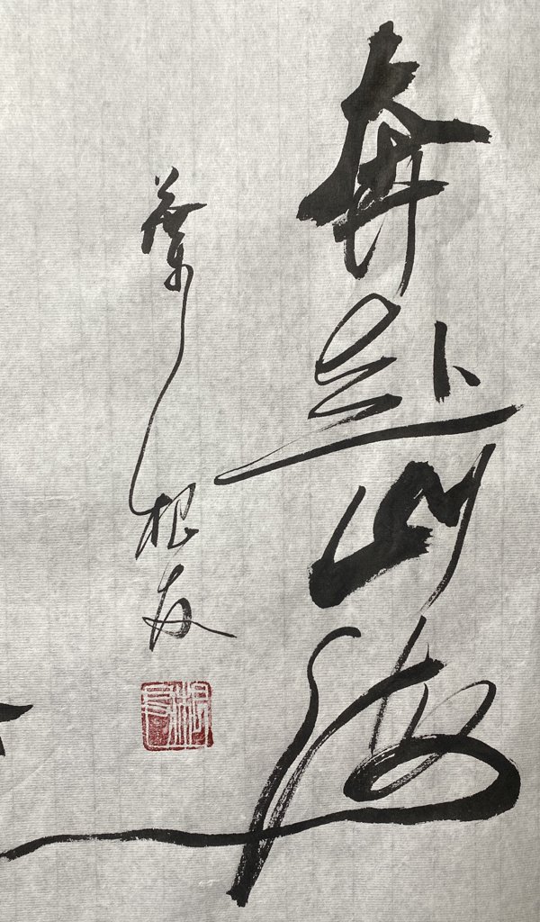 奔赴山海书法作品