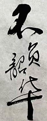 不负韶华毛笔书法作品