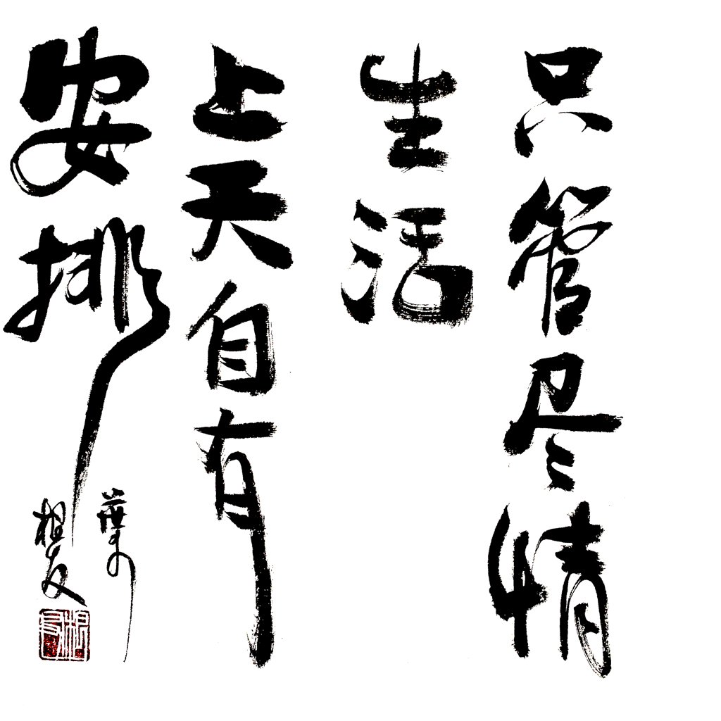 只管尽情生活书法作品