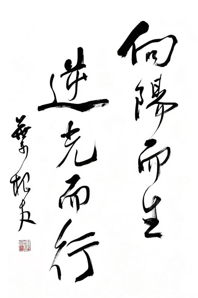 向阳而生逆光而行行书法作品