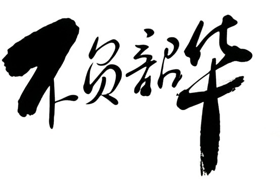 不负韶华毛笔书法作品