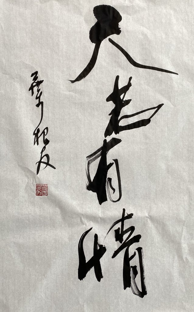 天若有情成语书法作品